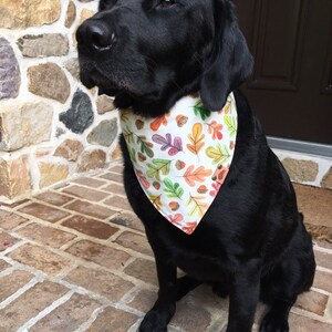 Fall Dog bandana personalized dog gift monogrammed dog bandana fall bandana dog bandana fall dog gift modern dog leaf dog bandana