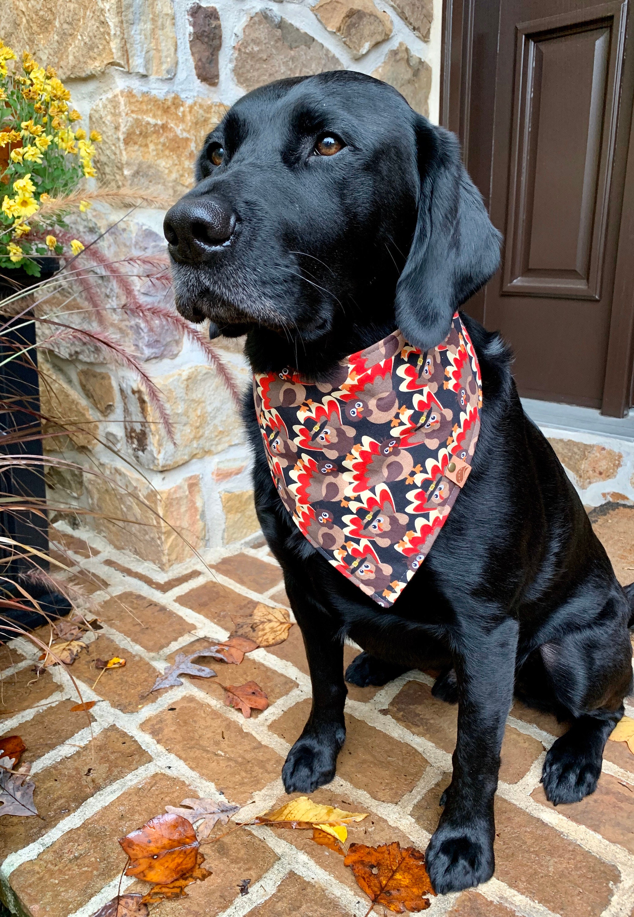 Thanksgiving Dog Bandana Thanksgiving Bandana Fall Dog bandana Etsy