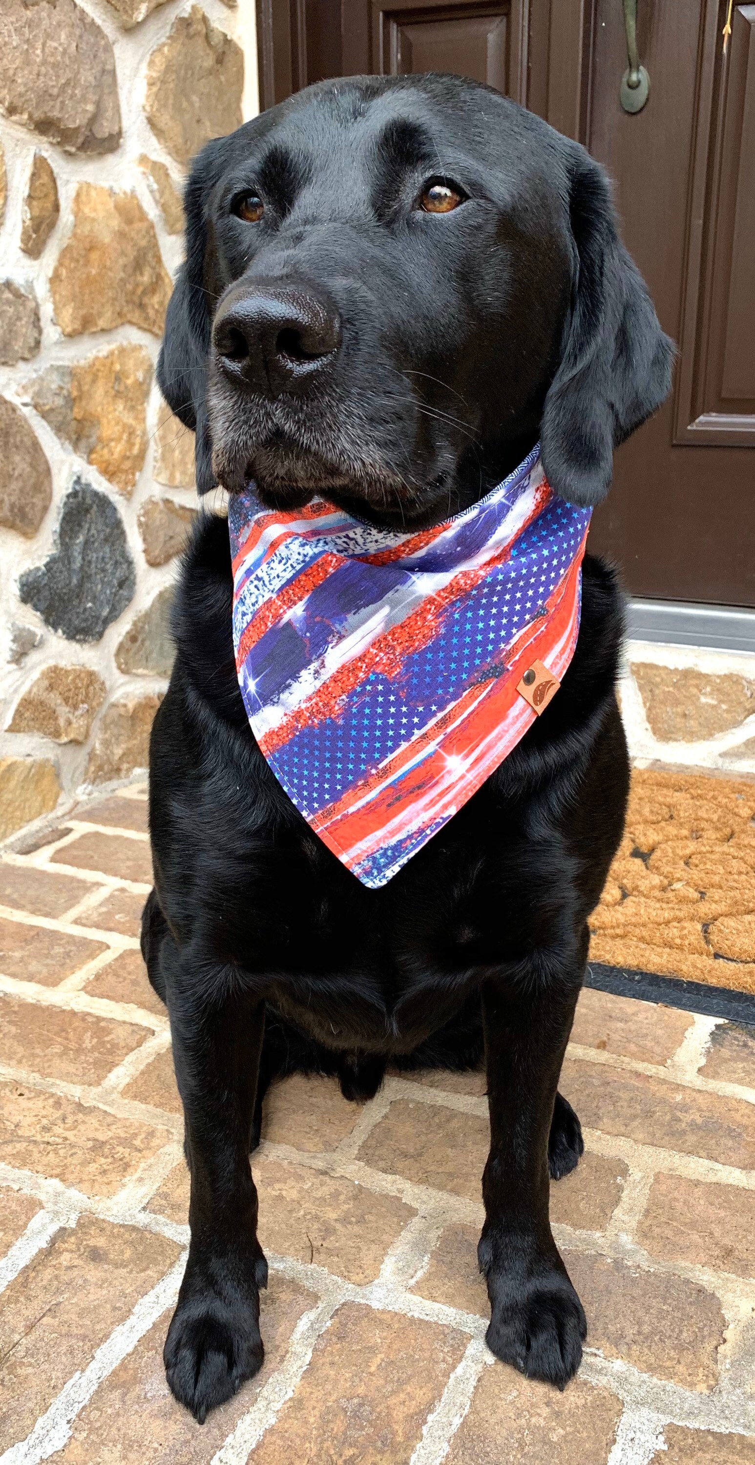 Hundehalstücher Mit US-Flagge – 2 Stück, Für Kleine Bis Große Hunde, 100% Polyester