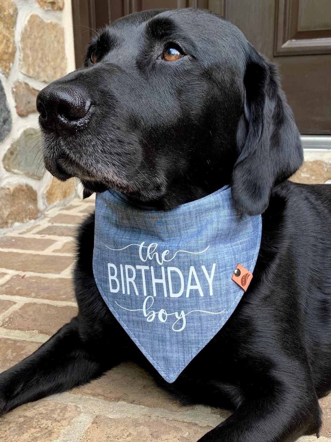 Dog 1st birthday bandana sales
