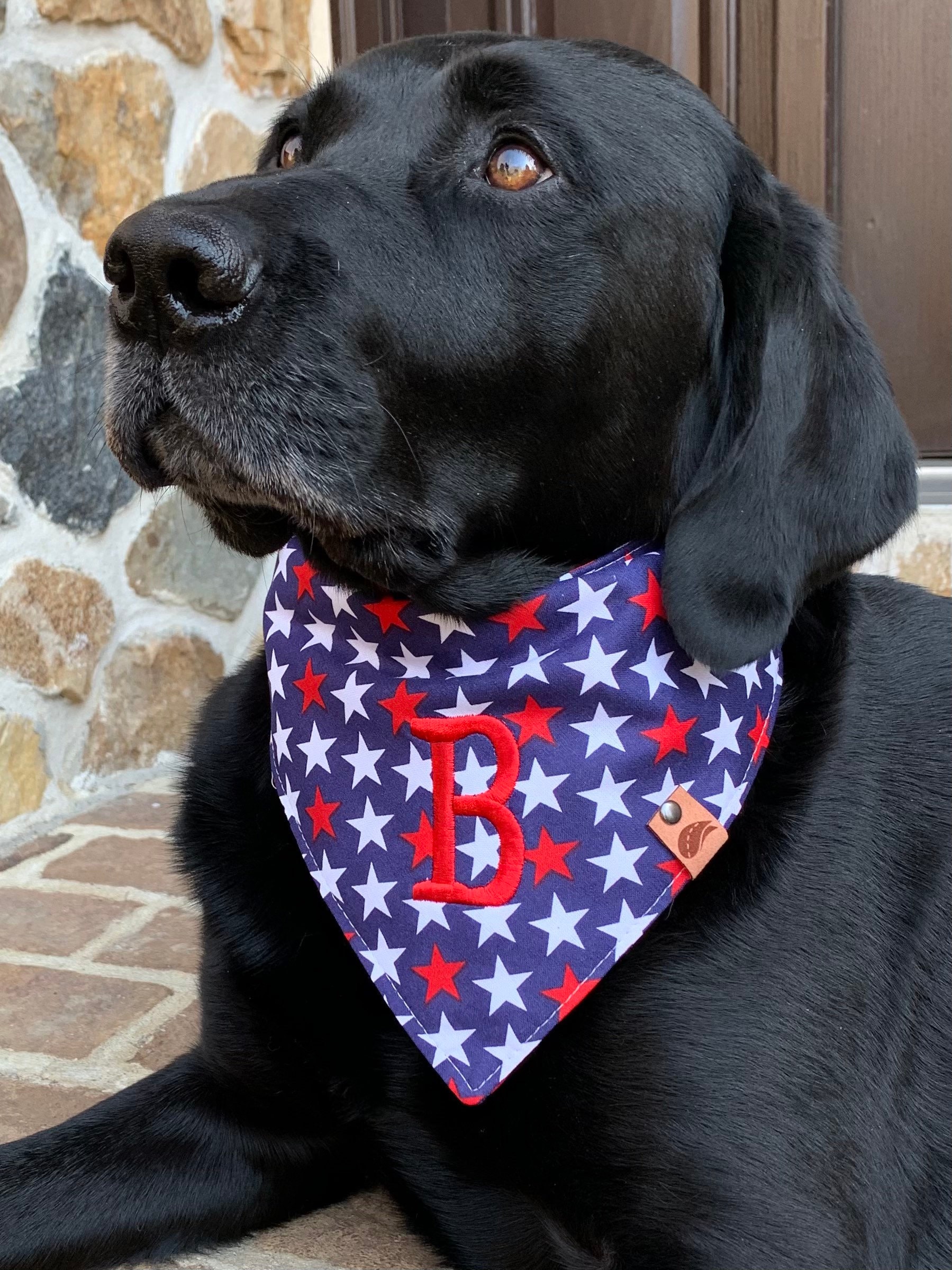 Dog 4th top of july bandana