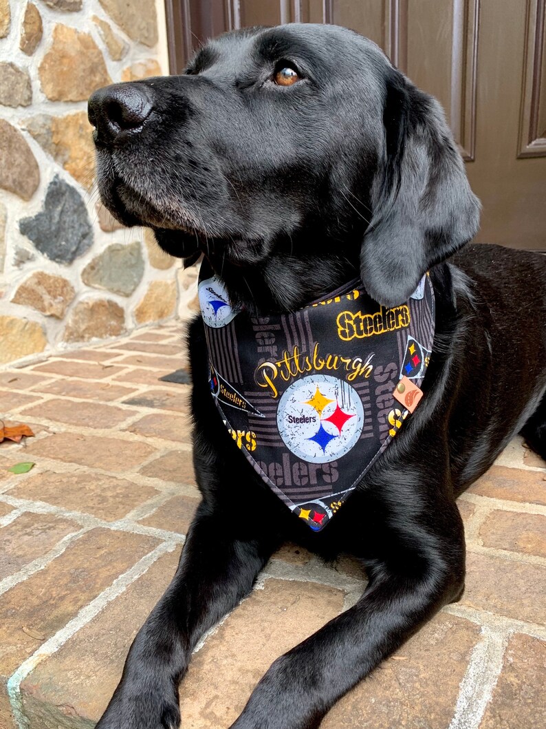steelers bandana for dog