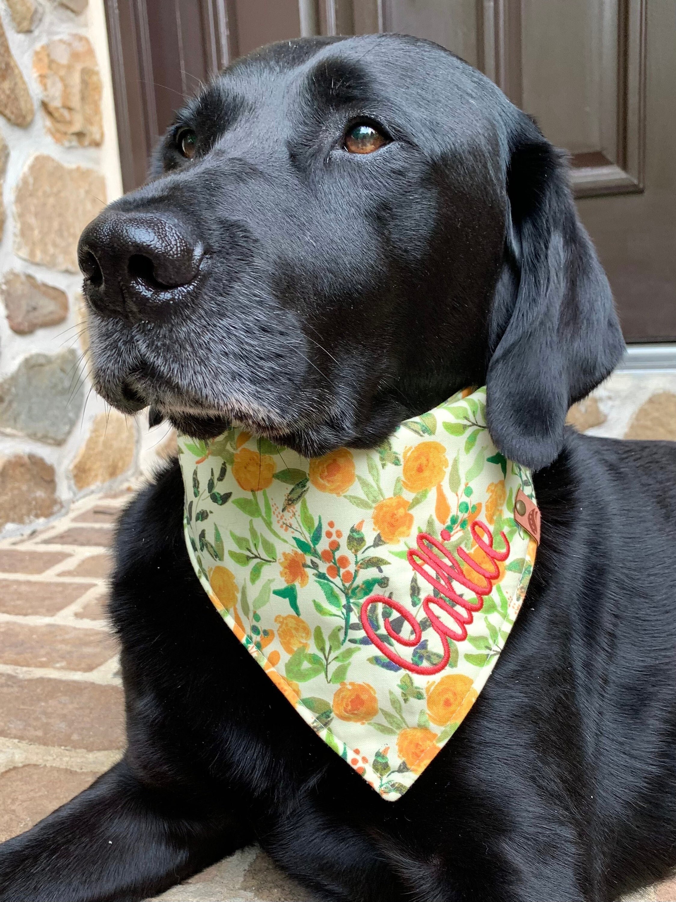 Floral dog bandana discount