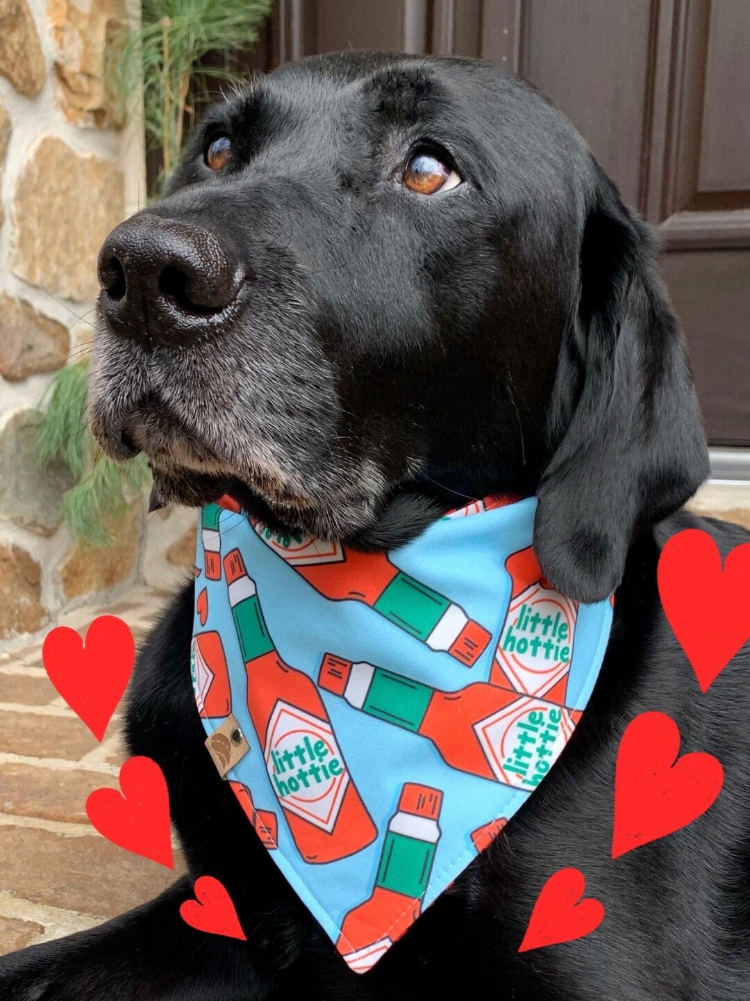 Valentine Dog Bandana Valentine Dog Gift Heart Dog Bandana Valentine