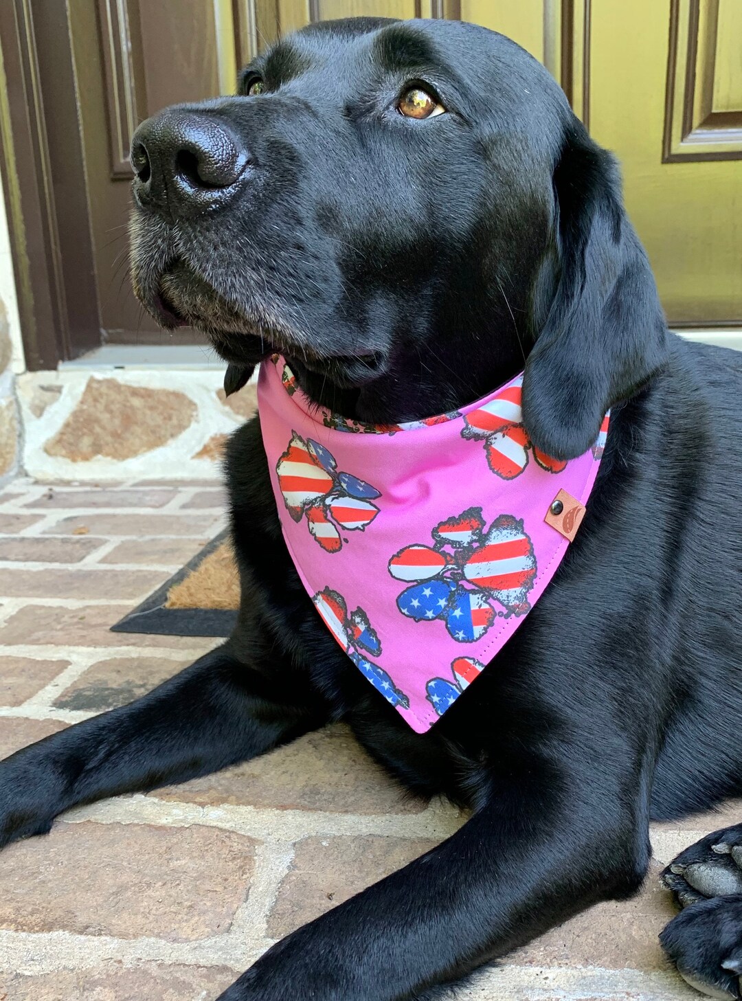 Patriotic Dog Bandana 4th of July Dog Memorial Day Dog Bandana