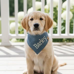 Bandana personalizável para cães, bandana bordada em chambray para cães: bandana personalizada de algodão para animais de estimação, bandana de verão, bandana de aniversário.