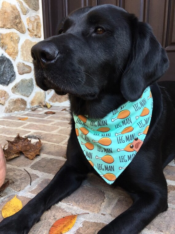 thanksgiving dog bandana