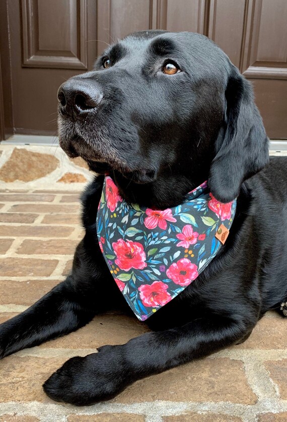 Summer Dog Bandana Personalized Dog Gift Monogrammed Dog Bandana