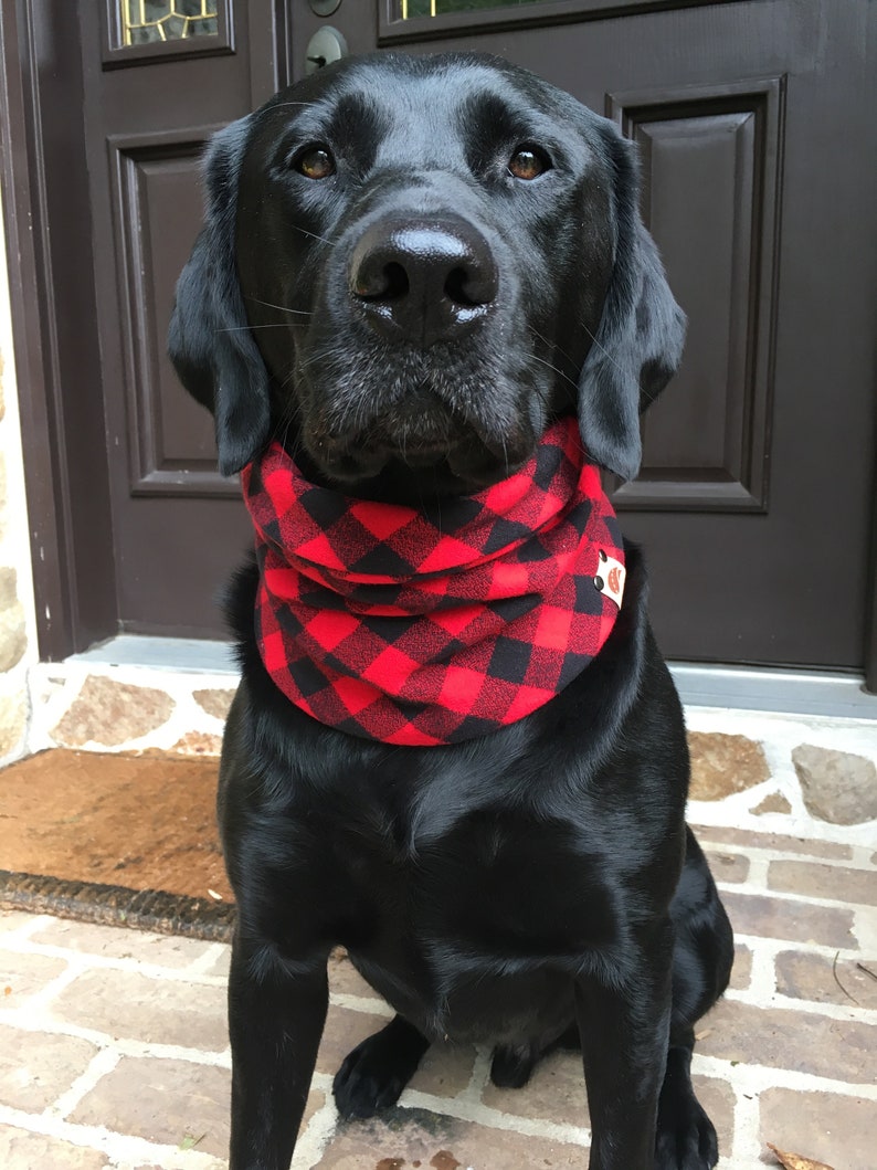 Fall dog scarf dog scarves fall dog buffalo plaid scarf plaid Etsy
