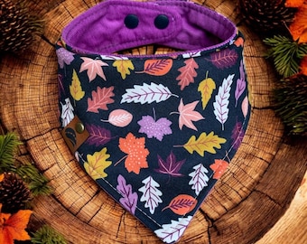 May include: A dog bandana with a dark blue background and a colorful leaf pattern. The bandana has a purple corduroy collar with two dark blue snaps. A small brown leather tag is attached to the bandana.