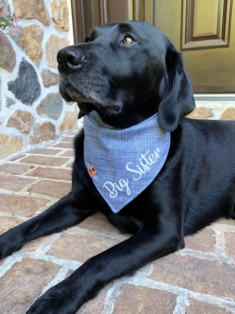 Big Sister Bandana Chambray Dog Bandana Pregnancy Announcement Etsy