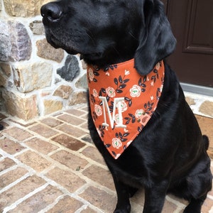 Fall Dog bandana personalized dog gift monogrammed dog bandana big sister dog bandana dog bling modern dog girl dog bandana