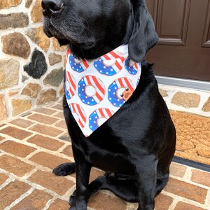May include: A black Labrador Retriever wearing a white bandana with a red, white, and blue donut pattern. The bandana has a brown leather tag with a small logo.