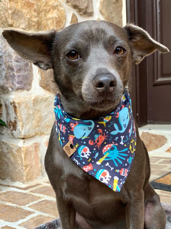 Anchor dog bandana 2025