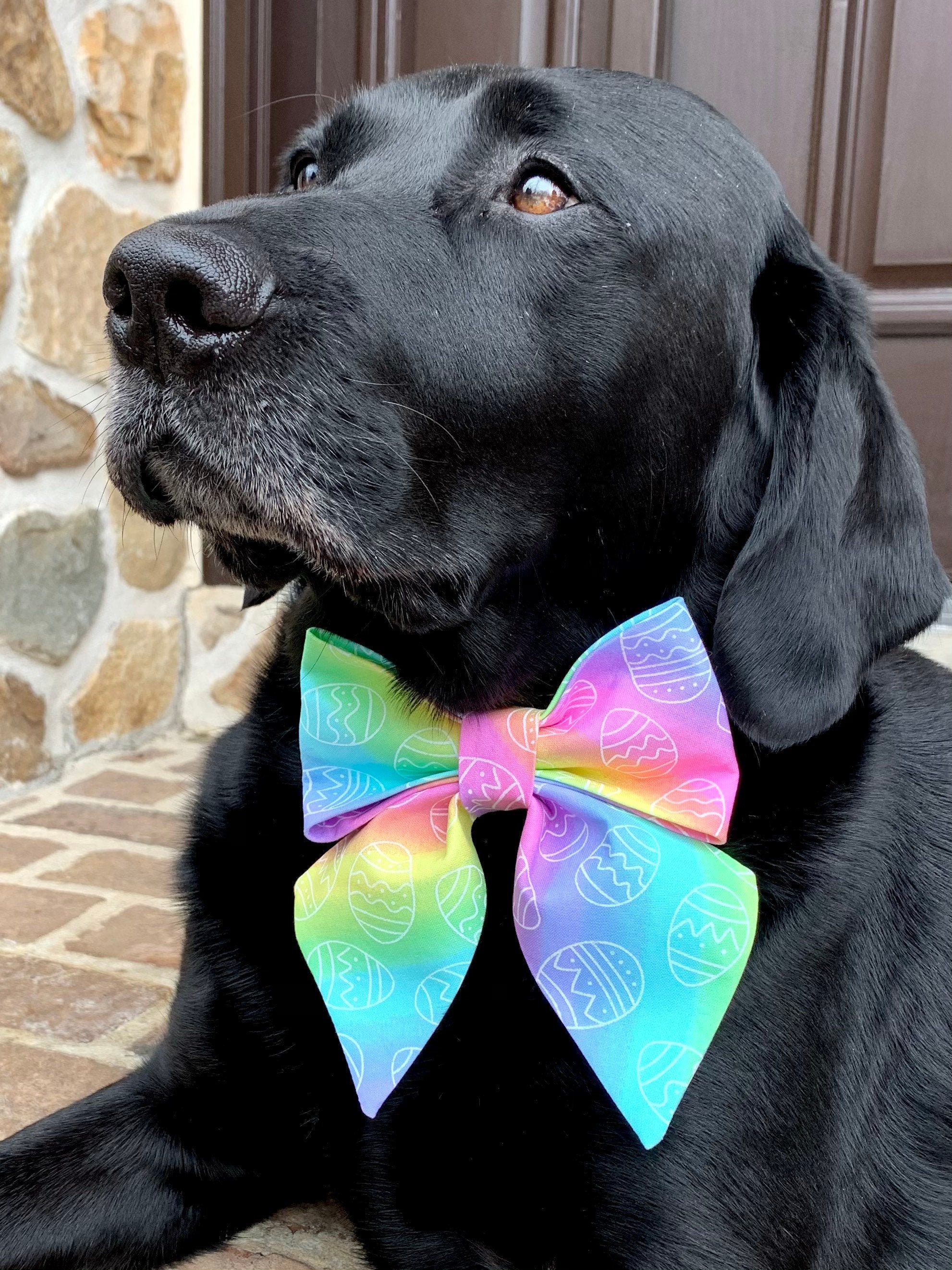 easter dog bow tie collar