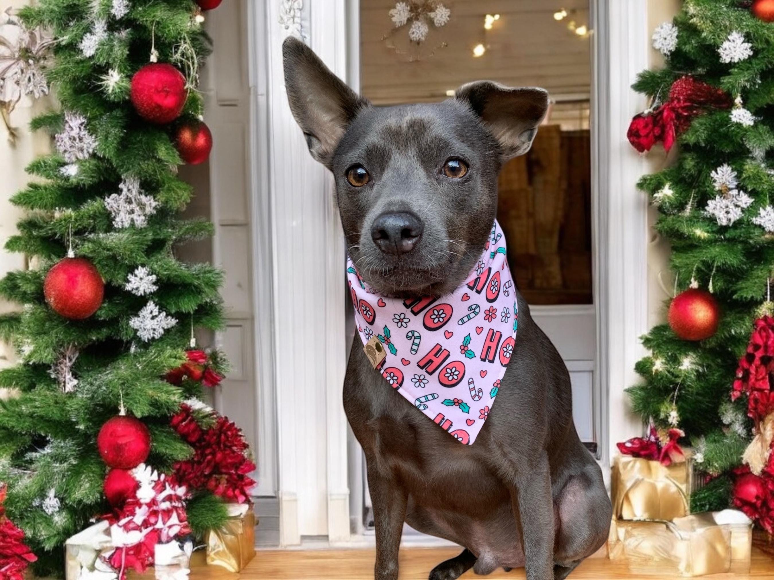 クリスマス 犬用バンダナ ホリデー 犬用バンダナ モノグラム 犬用