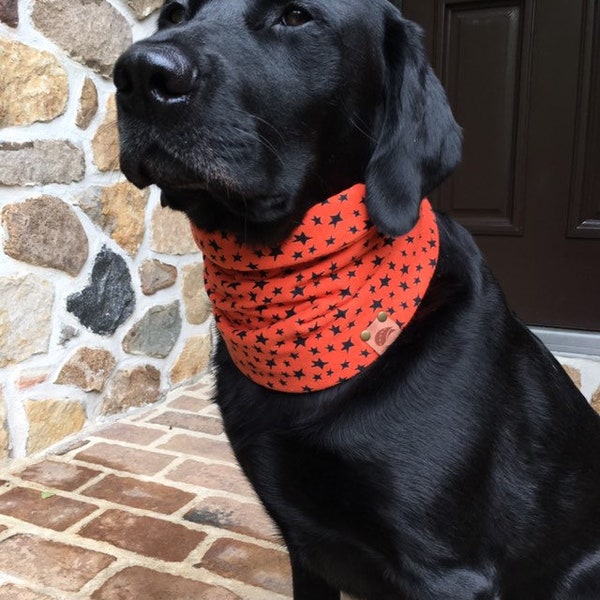 Dog Scarf Etsy