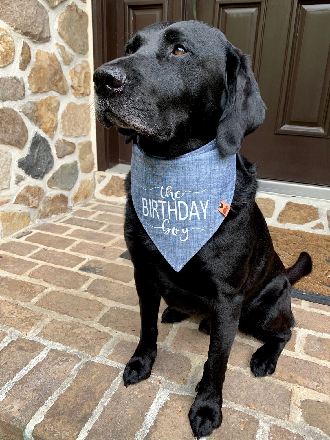 Geburtstag Hunde Bandana Geburtstag Hund Geschenk Etsy