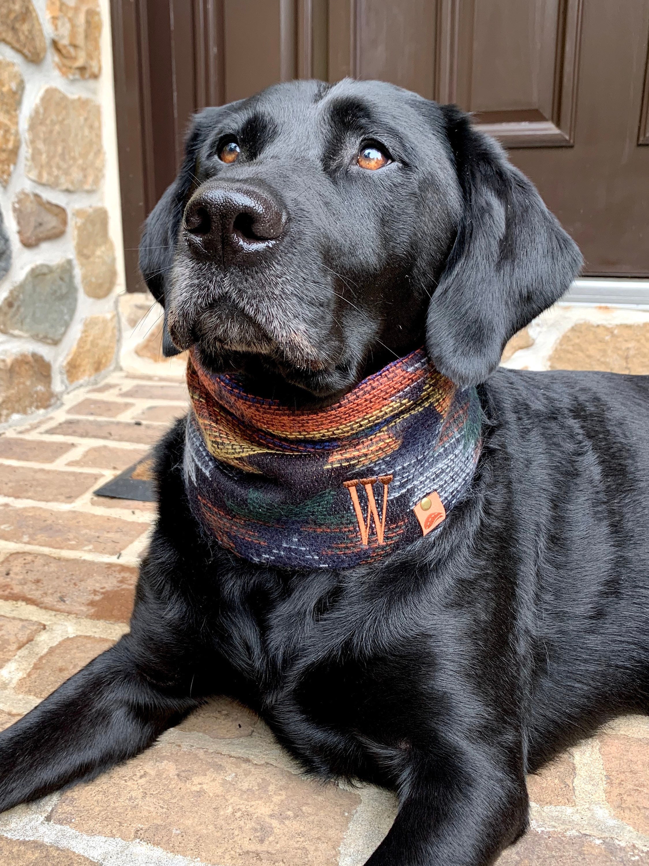 Dog scarf dog scarves fall dog aztec scarf southwest dog scarf Etsy
