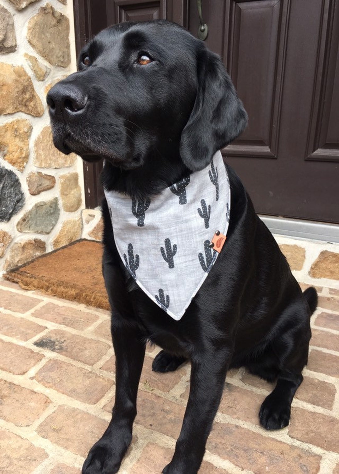 Dog Bandana Personalized Dog Gift Monogrammed Dog Bandana Dog Clothing Bandana Cactus Bandana