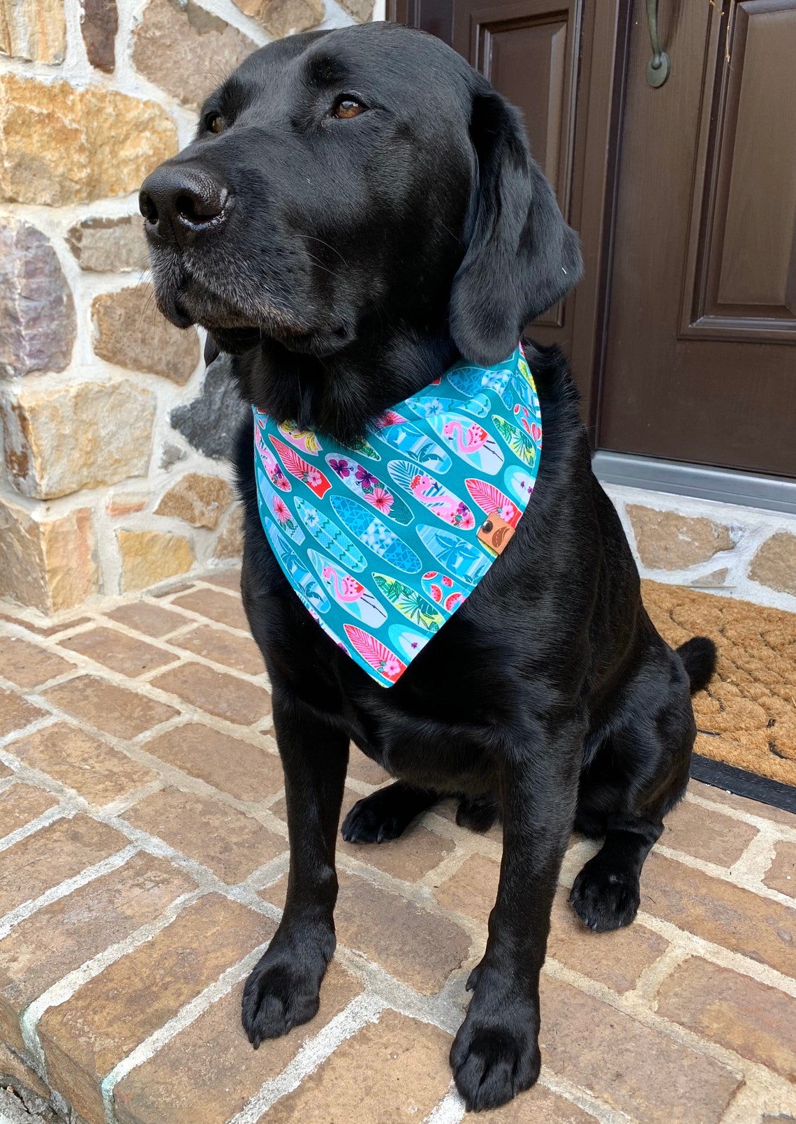 Summer Dog bandana surfboard bandana dog gift tropical bandana | Etsy