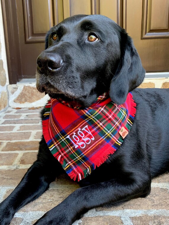 dog christmas neckerchief