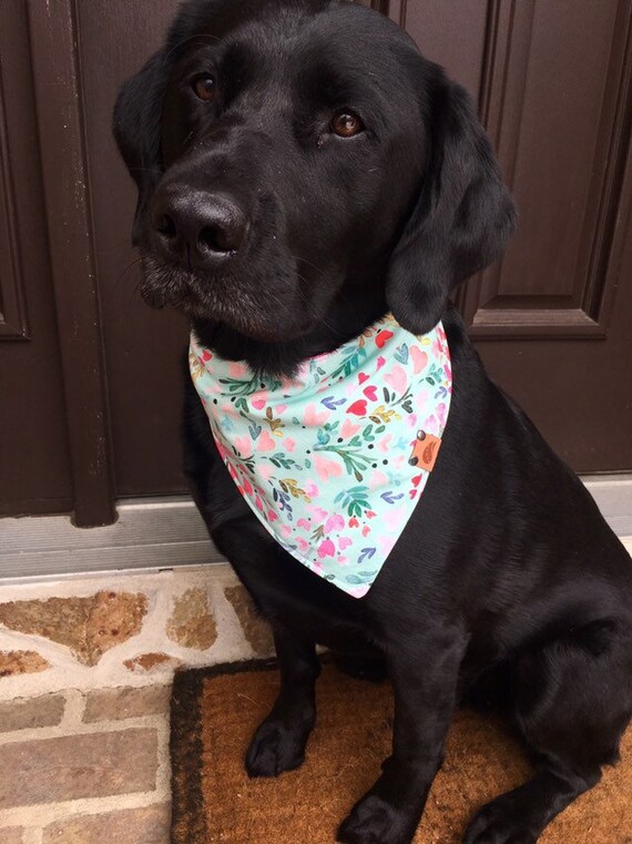 monogrammed dog bandana