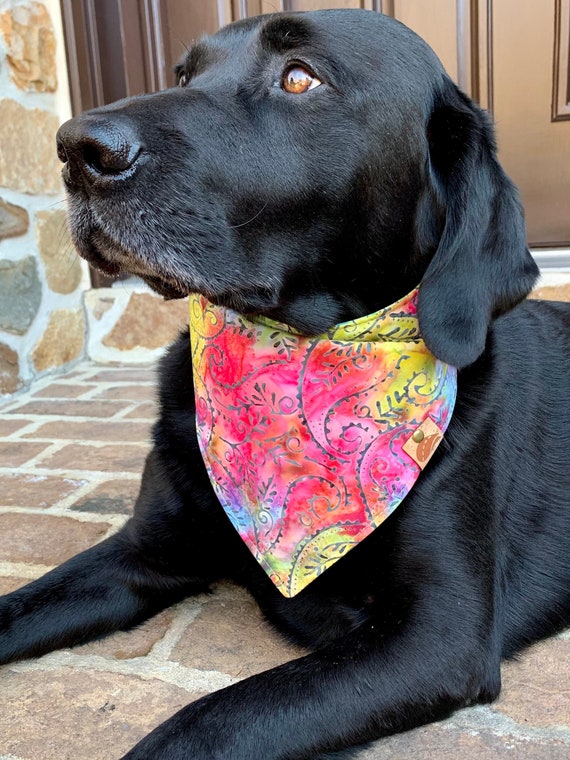 Super Easy Embroidered Dog Bandanna with Terial Magic! 