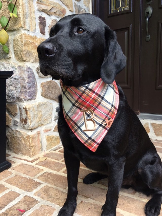 Dog scarf Fall Dog scarf plaid dog bandana monogrammed dog | Etsy