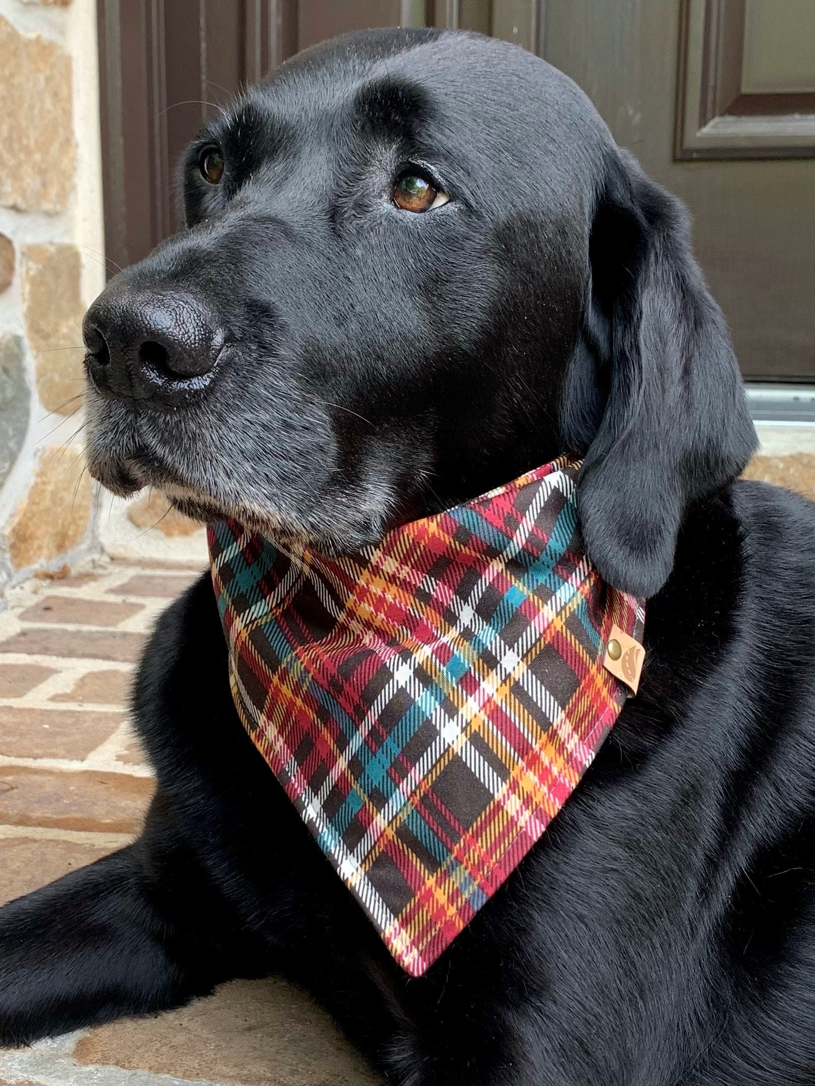 Plaid Dog Bandana Fall Dog Bandana Monogrammed Dog Bandana New Dog