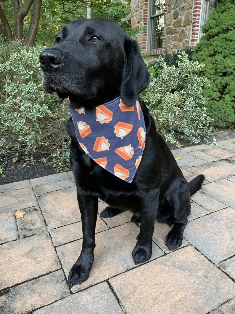 Thanksgiving Dog Bandana Thanksgiving Bandana Fall Dog bandana thanksgiving dog bandana monogrammed dog bandana pumpkin pie bandana image 4