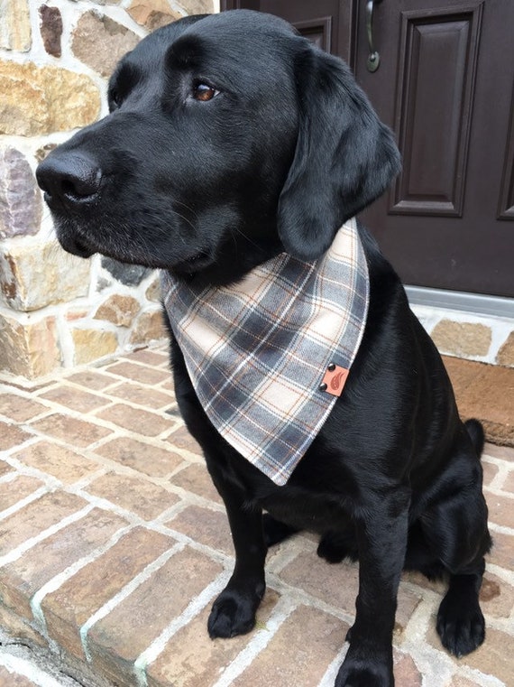 monogrammed dog bandana