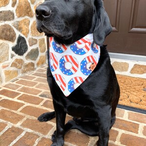 May include: A black Labrador Retriever dog wearing a white bandana with a red, white, and blue donut pattern. The bandana has a brown leather tag with the word "Donut" on it.