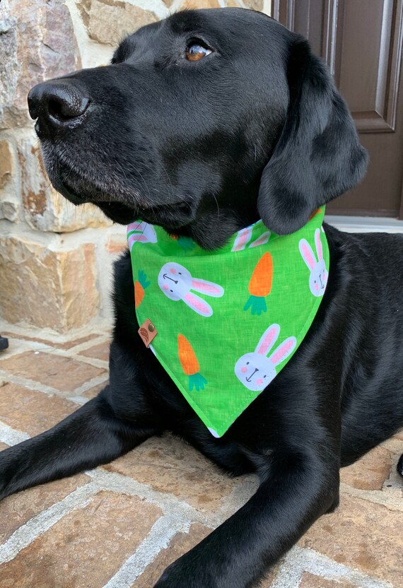 Easter bandanas online