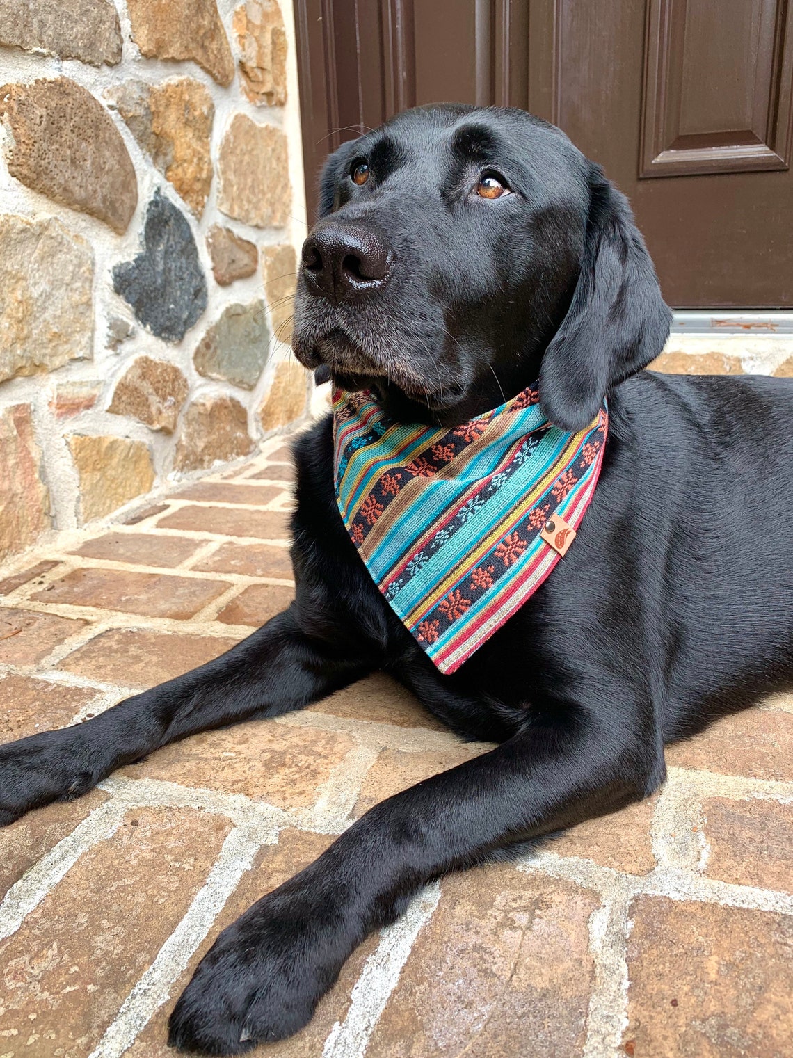 Fall Dog bandana suroeste bufanda sudoeste pañuelo de algodón Etsy