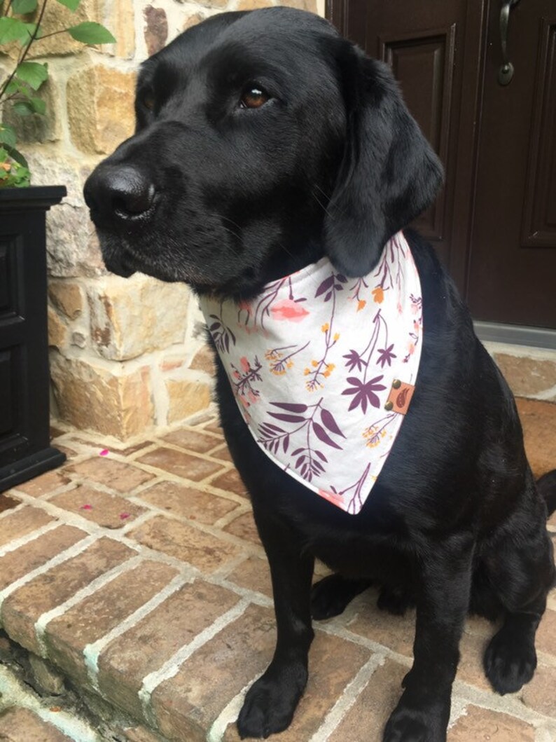 monogrammed dog bandana