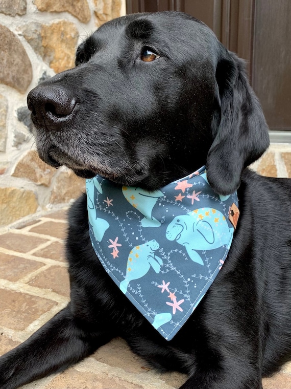 Etsy dog scarf sales