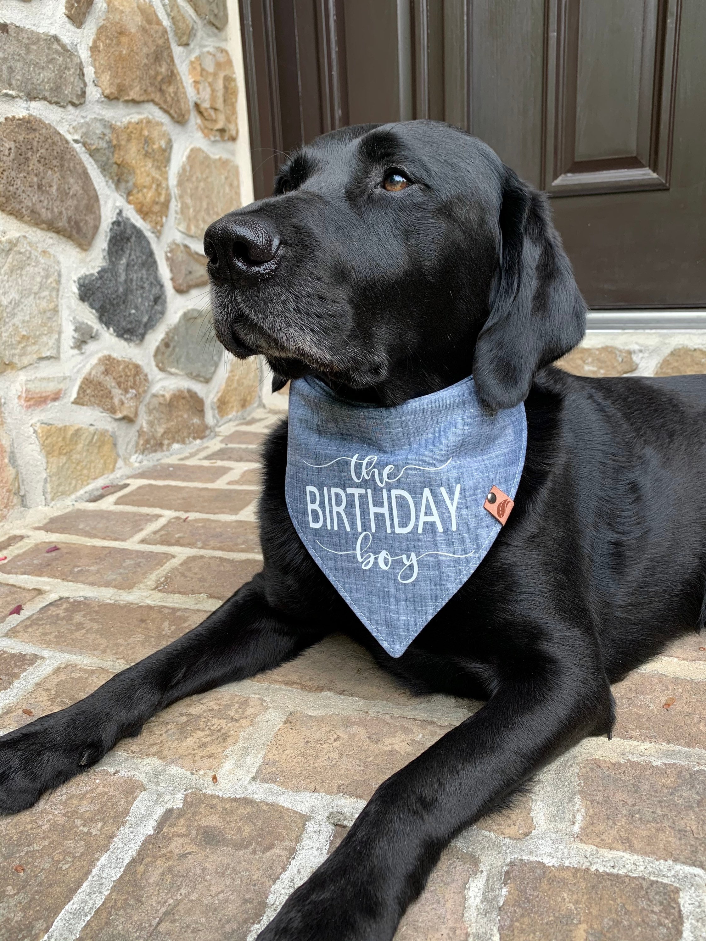 Geburtstag Hunde Bandana Geburtstag Hund Geschenk Etsy