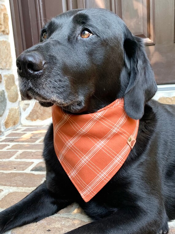 Dog Bandana Plaid Bandana Dog Gift Fall Dog Bandana Thanksgiving
