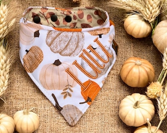 May include: A white and orange dog bandana with a pumpkin pattern. The bandana has a reversible design with a brown acorn pattern on the inside. The background includes small pumpkins and wheat stalks.