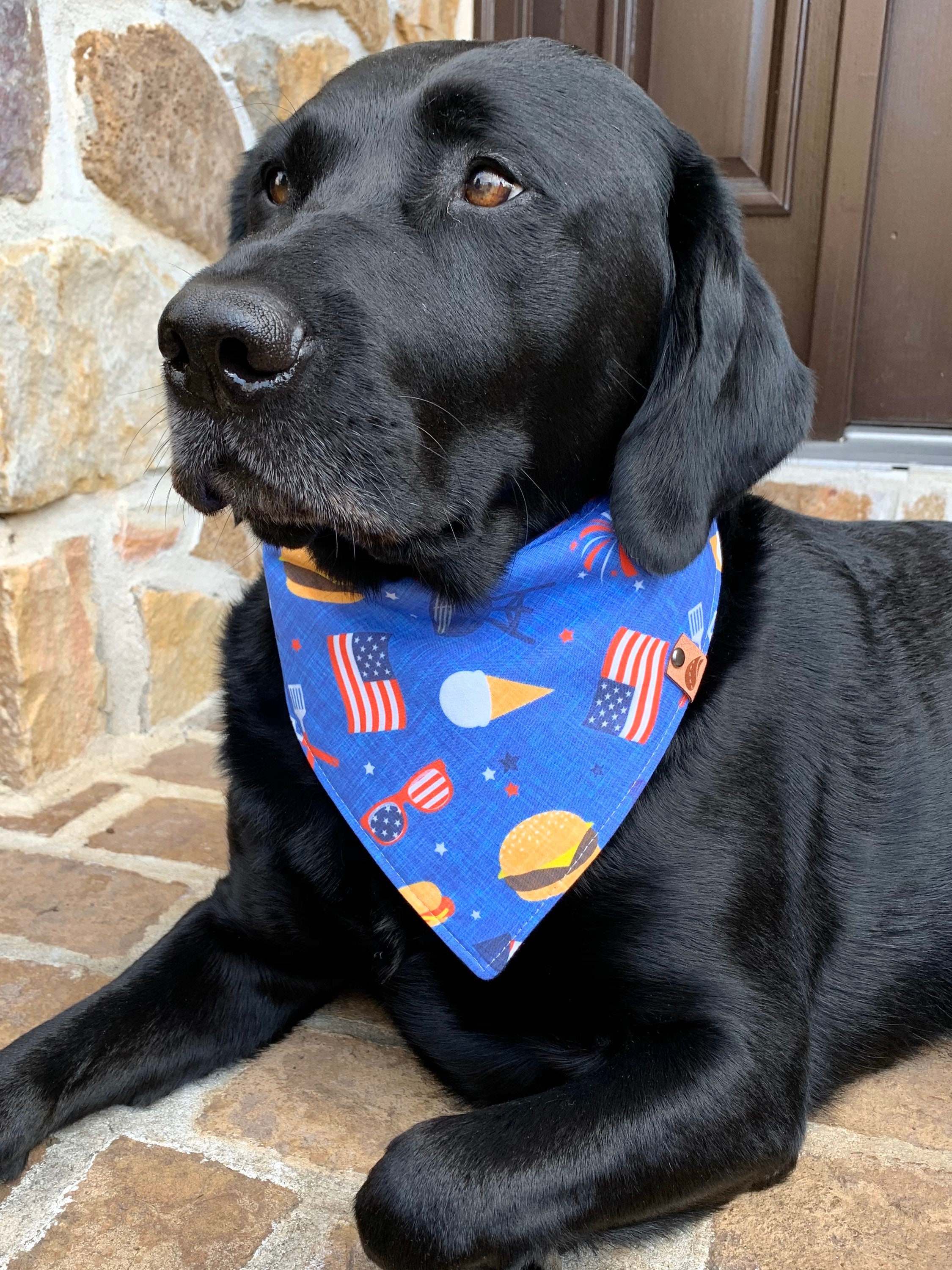 light for turtle basking