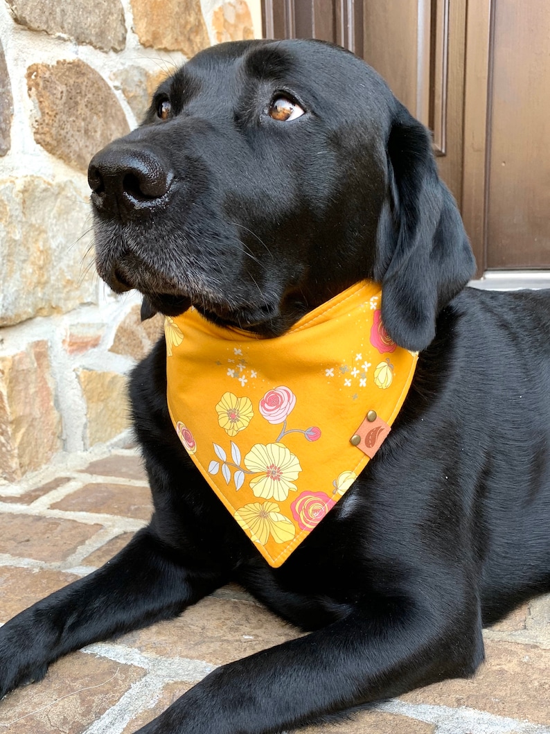 monogrammed dog bandana