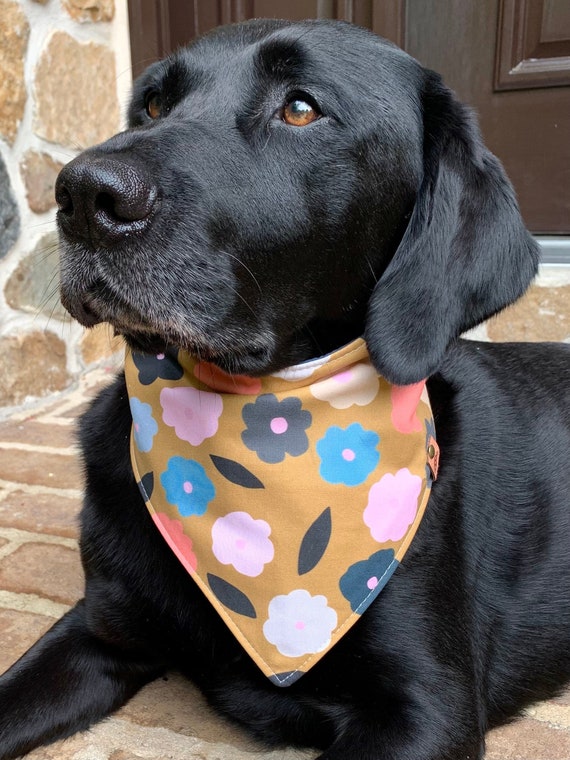 Fall Dog Bandana Floral Dog Bandana Thanksgiving Bandana