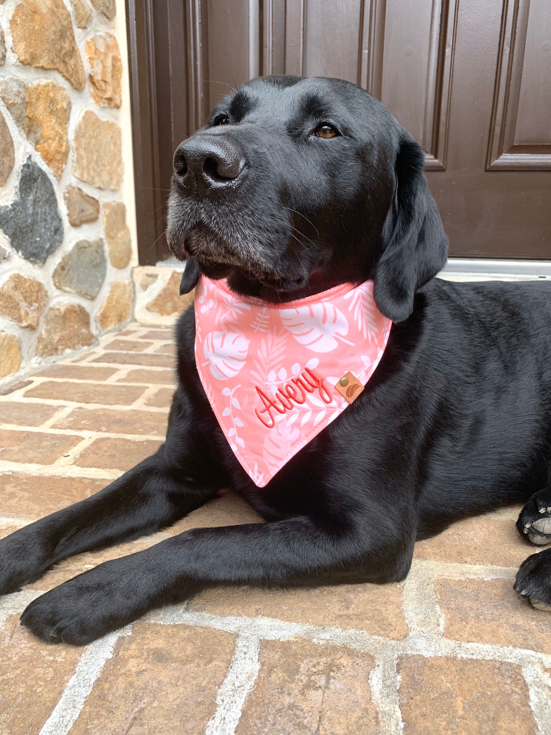 Dog bandana personalized dog gift monogrammed dog bandana dog Etsy
