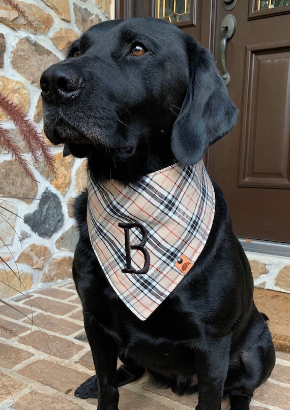 monogrammed dog bandana
