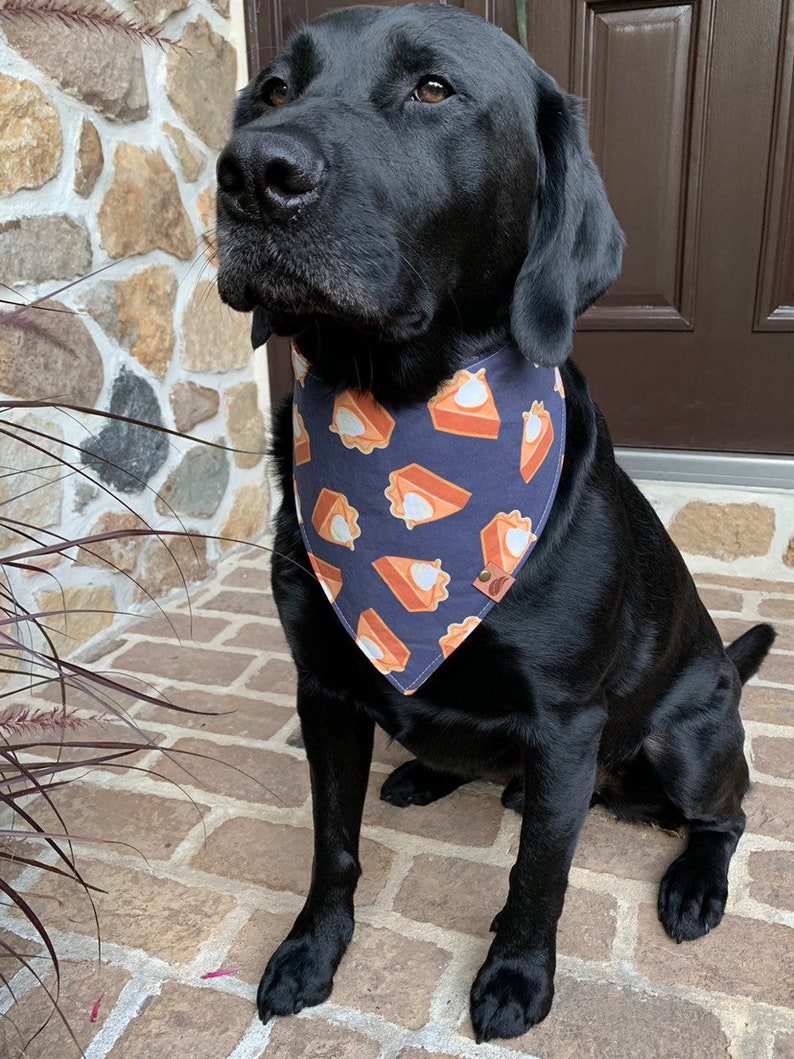 Thanksgiving Dog Bandana Thanksgiving Bandana Fall Dog bandana thanksgiving dog bandana monogrammed dog bandana pumpkin pie bandana image 3