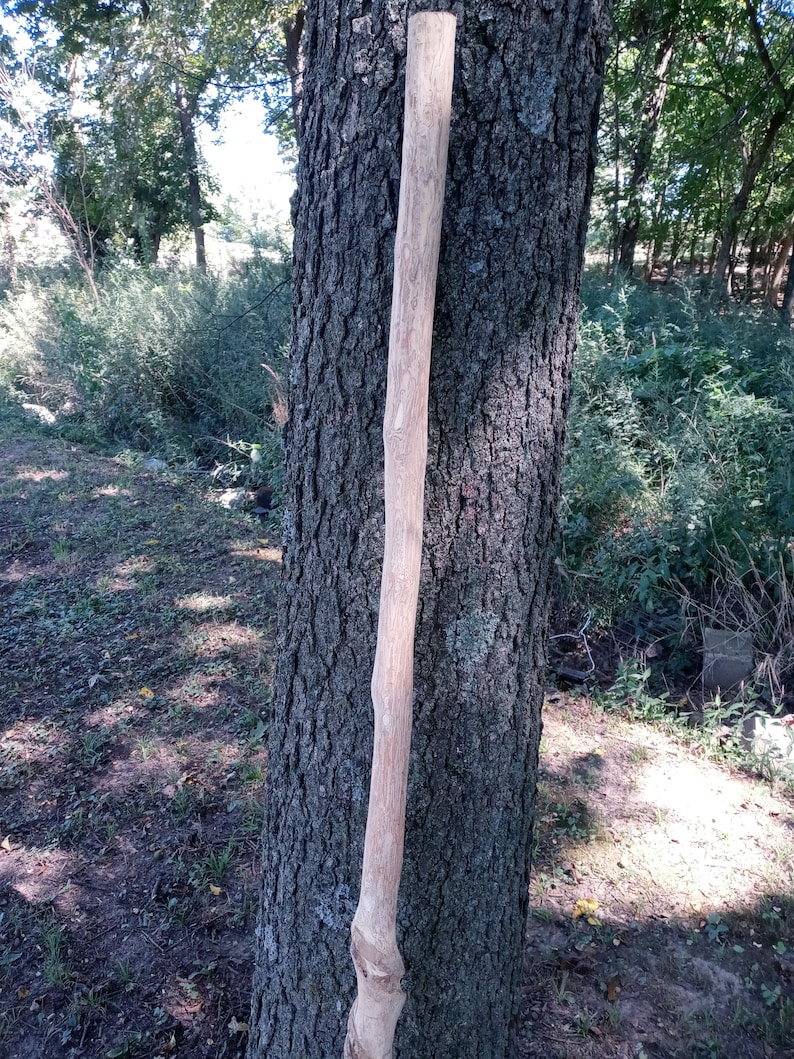 Nature's Twisted Limb walking Stick 64 Inches Etsy