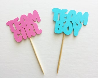 12pc Team Girl Team Boy cupcake toppers, Team Pink Team Blue cupcake toppers, Team Girl Team Boy food picks, Gender reveal party decor