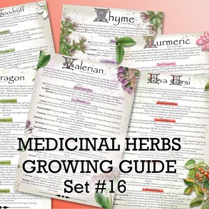 Medicinal Herb Growing Guide Set 16  | Download PDF |A4, A5, US Letter, Half Letter | Herbalist & Green Witch Gardening | Preppers Resource