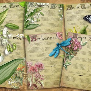 Illustrated Medicinal Herb Pages Set 16. Natural remedy  printable apothecary herb journal, Garden pharmacy, herbal wisdom